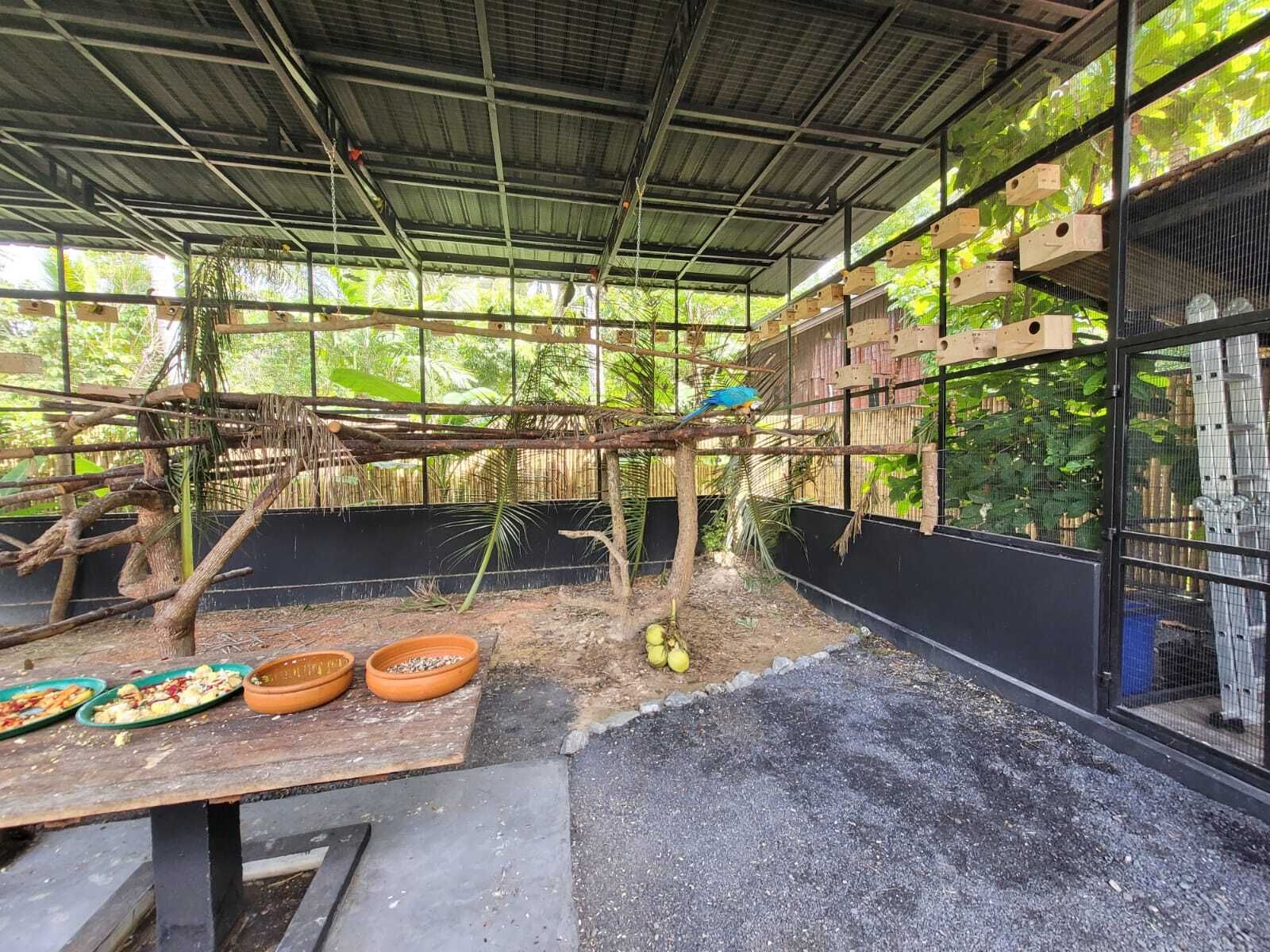 Boutique 6-Bedroom Hotel Investment in Lipa Noi, Koh Samui