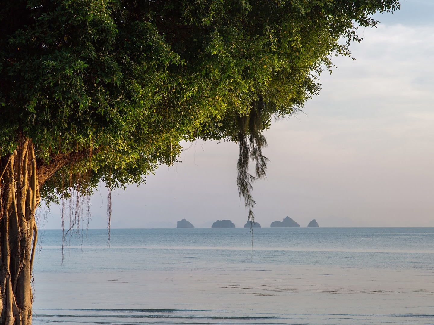 Iconic 6-Bedroom Beachfront Villa in Lipa Noi | Ultimate Koh Samui Luxury Investment