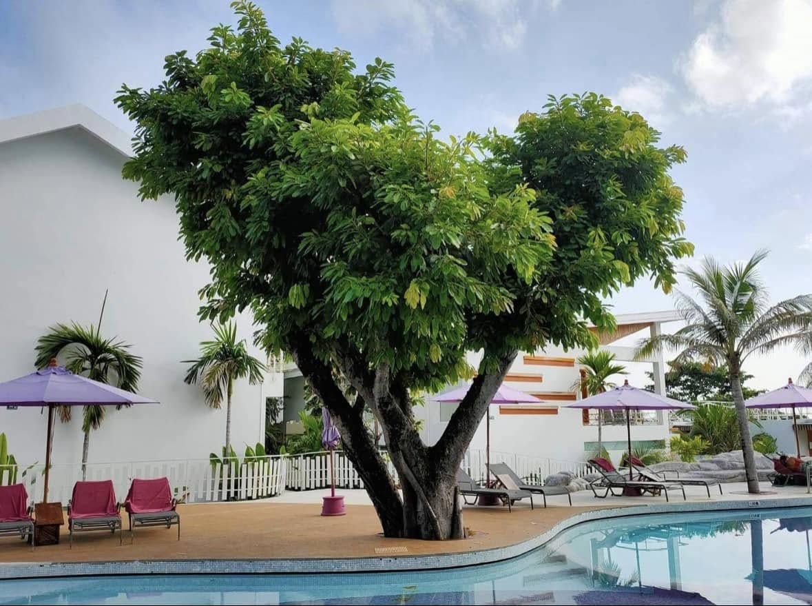 Elite Beachfront Hotel on Lamai Beach | High-Potential 66-Room Investment Opportunity